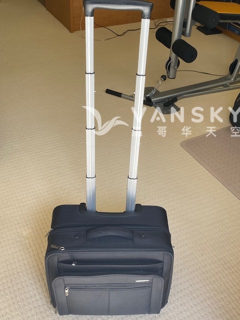 250603183906_briefcase with rollers lily.jpg